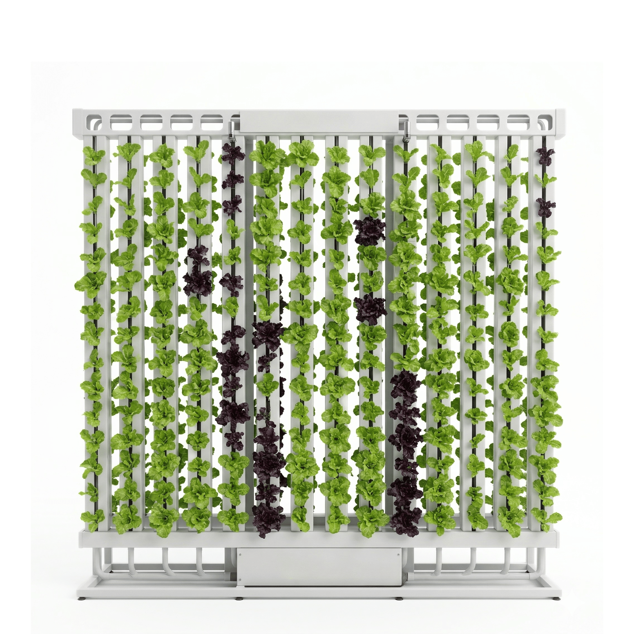 Hydroponic Wall