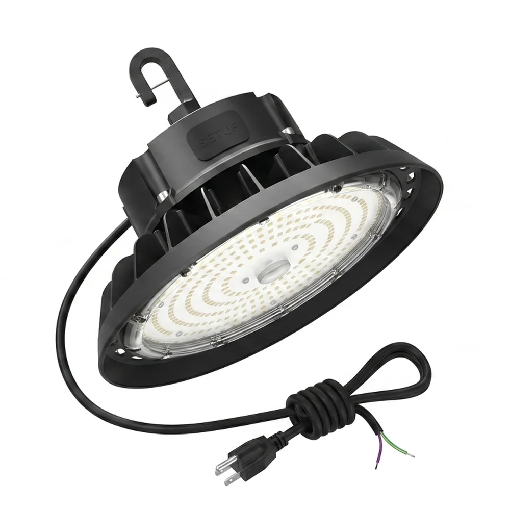 Circular Hanging Light