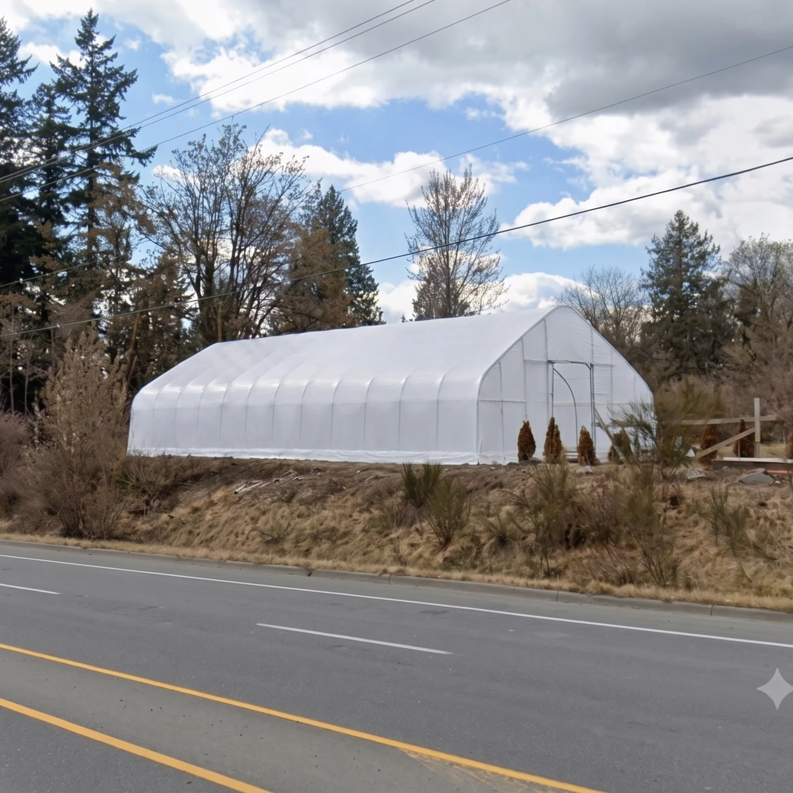 Sun & Steel nursery high tunnel on a roadside parcel in Abbotsford, BC with young trees planted alongside