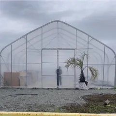 High tunnel in Richmond, BC